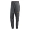 Pantalon De Survêtement Adidas Originals ADVENTURE FIELD