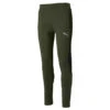 Pantalon De Survêtement Puma FD EVOST