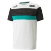 Tee-shirt Puma FD Mercedes F1 SDS -Hommes Vêtements Magasin puma 362