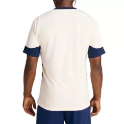 Tee-shirt Puma FPF Training Jersey 16 Tee-shirt Puma FPF Training Jersey -Hommes Vêtements Magasin puma 386