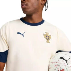 Tee-shirt Puma FPF Training Jersey 17 Tee-shirt Puma FPF Training Jersey -Hommes Vêtements Magasin puma 387