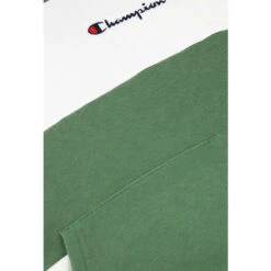 Sweat à Capuche Champion Rayé -Hommes Vêtements Magasin sweat a capuche champion raye 1