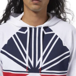 Sweat à Capuche Reebok AC F DIS OTH -Hommes Vêtements Magasin sweat a capuche reebok ac f dis oth 4