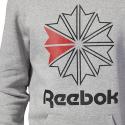 Sweat à Capuche Reebok F STAR -Hommes Vêtements Magasin sweat reebok f star hoodie dh2074 4