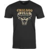 Tee-shirt New Era Chicago Bulls Graphique -Hommes Vêtements Magasin tee shirt new era chicago bulls graphique
