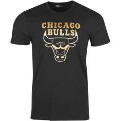 Tee-shirt New Era Chicago Bulls Graphique
