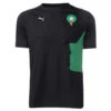 Tee-shirt Puma FRMF PUMATECH 1 Tee-shirt Puma FRMF PUMATECH -Hommes Vêtements Magasin tee shirt puma frmf pumatech