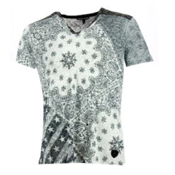 Tee-shirt Redskins Quino Tiamat (Gris)